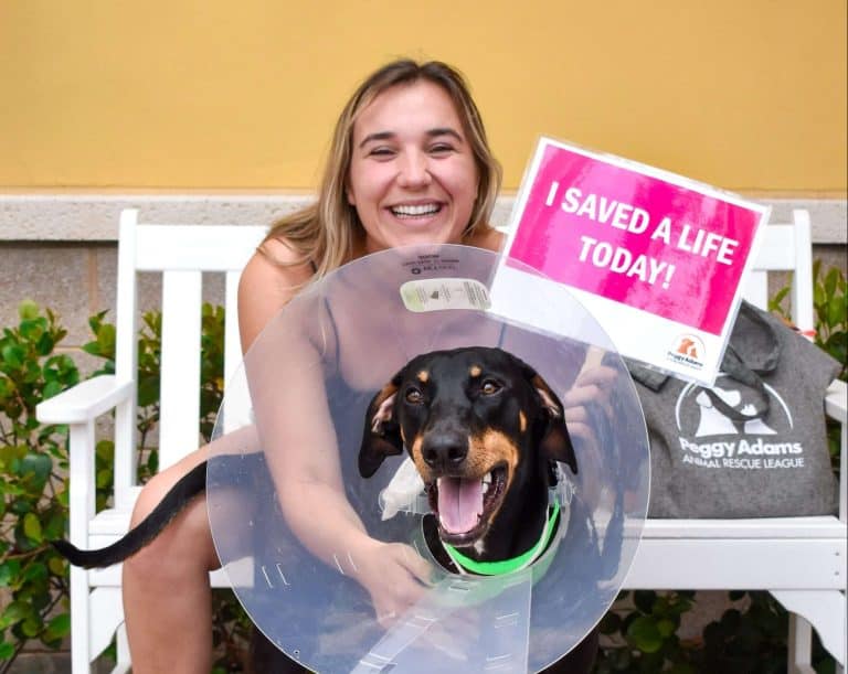 Woman with dog wearing cone, holding "I Saved a Life Today" sign.