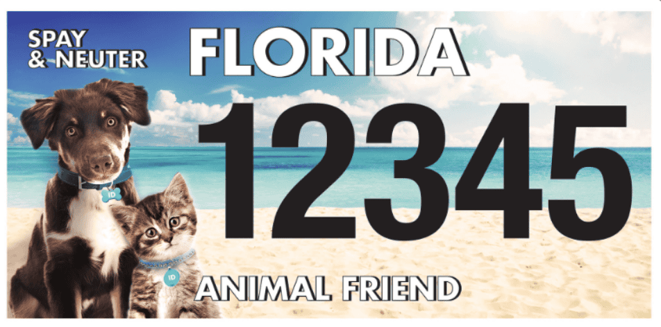 Florida Animal Friend pet license tag with dog and cat images on the beach.