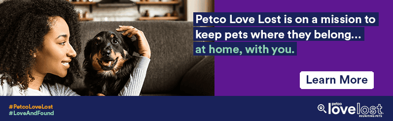 Petco Love helps reunite lost pets with their owners at home.