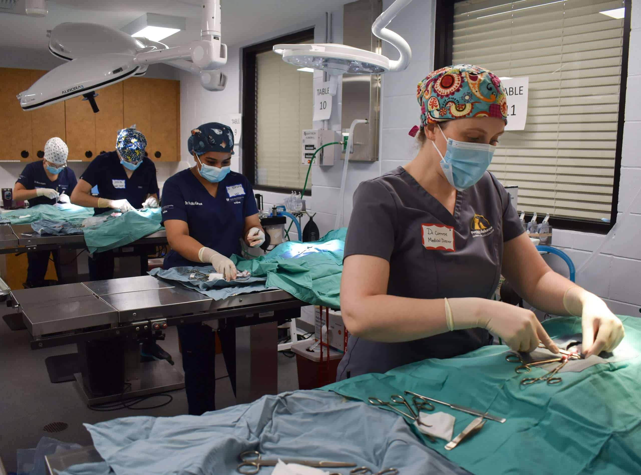 Veterinary team performing surgery at Peggy Adams Animal Rescue, focused on animal care and medical.