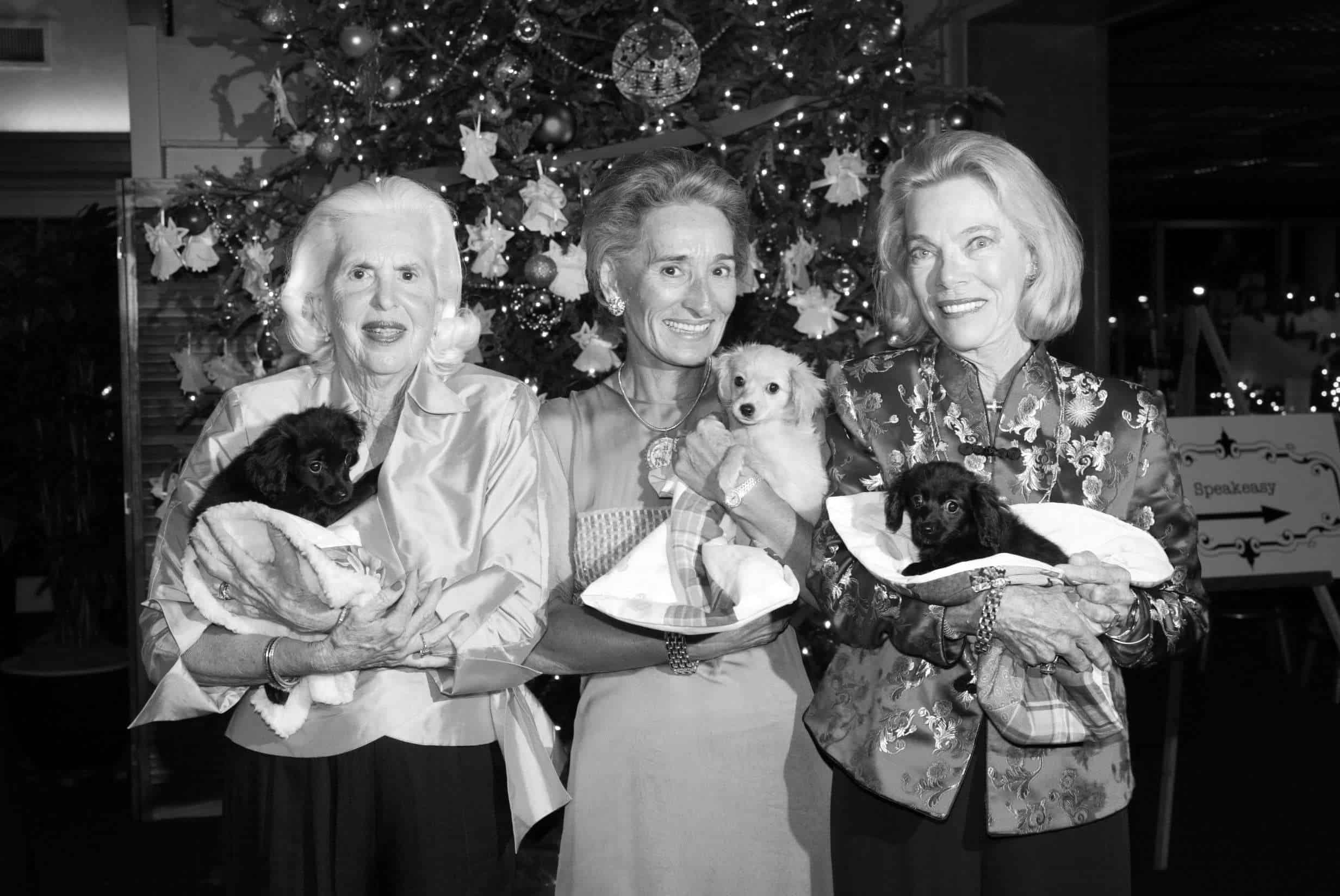 Happy women holding puppies at holiday event.