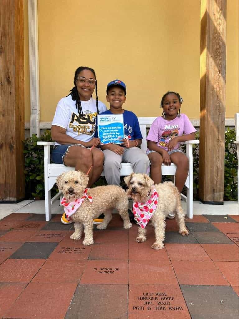 Happy family with two kids and two dogs sitting on a bench outdoors.