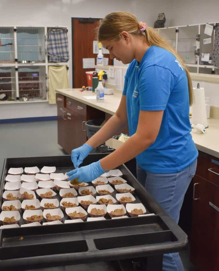 Pet food being prepared for animals at Peggy Adams Animal Shelter.