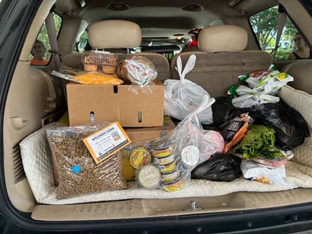 Pet food and supplies loaded in the back of a vehicle.