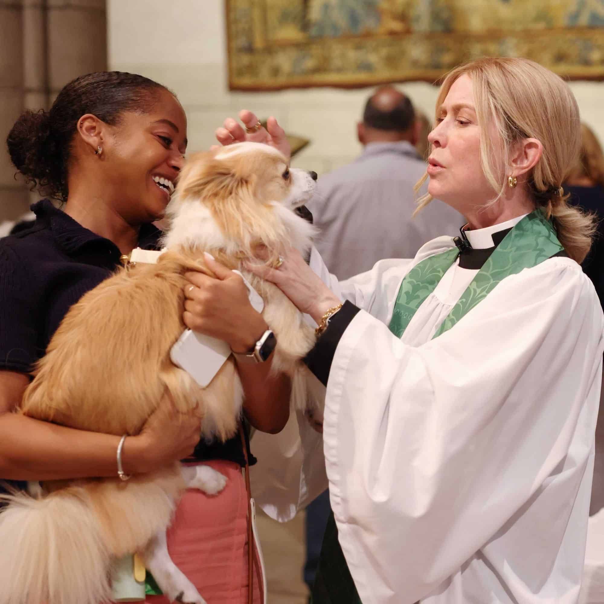 Woman blessing dog at Peggy Adams Animal Rescue event.