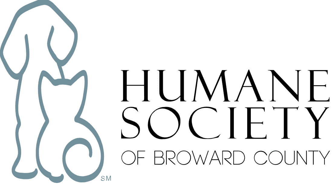 Adopt a loving pet from Peggy Adams Animal Rescue in Broward County. Find your new furry friend toda.