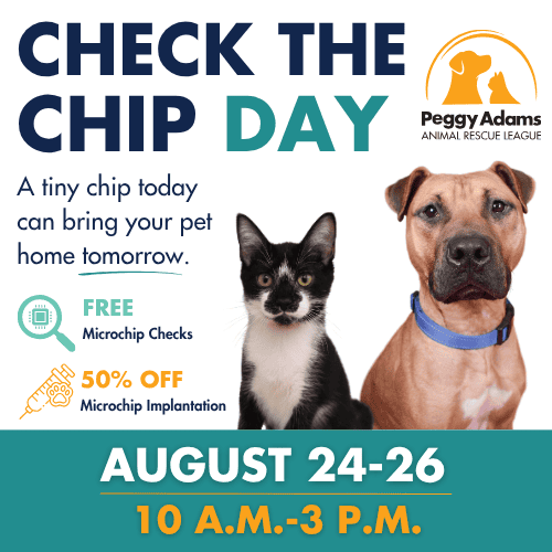Pet microchip check event with dog and cat for adoption or microchipping.