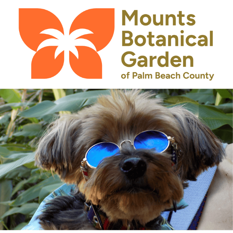 Dog wearing sunglasses in a garden setting at Mounts Botanical Garden.